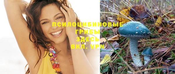соль ск Абдулино